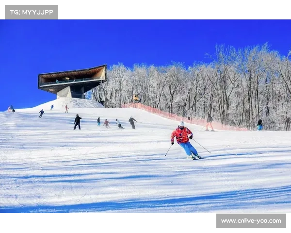 冰雪赛事牵引多领域协同，吉林借大众冰雪季推经济高质量发展